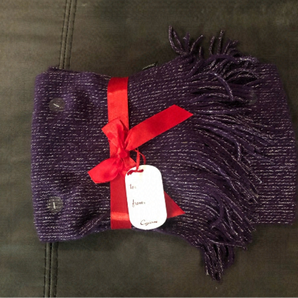 New Purple and Silver Scarf Cejon Brand